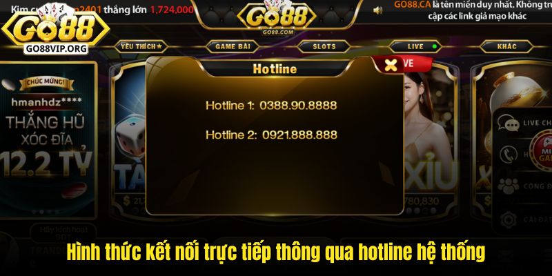 Hình thức kết nối trực tiếp thông qua hotline hệ thống